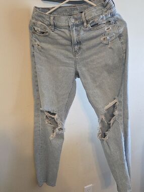 American Eagle Outfitters Light Blue Distressed Skinny Jeans